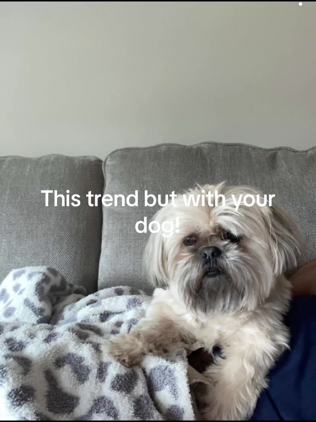 @Dudley&Ollie🐾