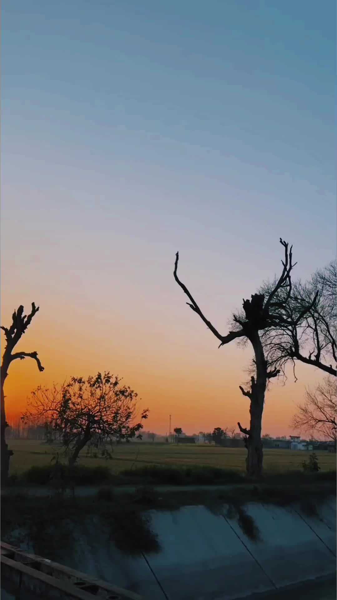 @sabbal_gaxg