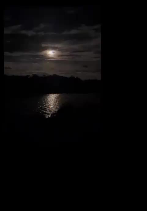@Soo Yoon 🦋🌸