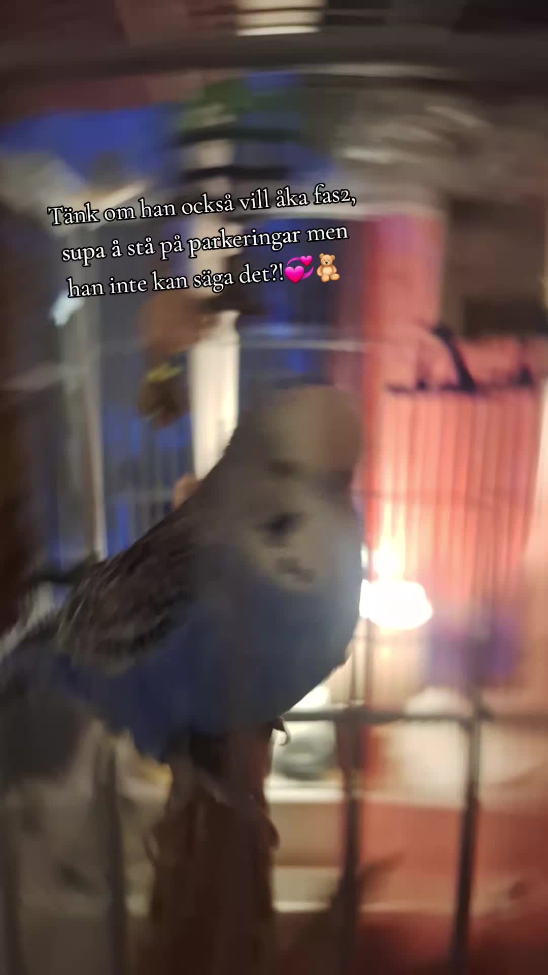 @𝔈𝔟𝔟𝔞 𝔅𝔞𝔠𝔨𝔰𝔱𝔯𝔬𝔪