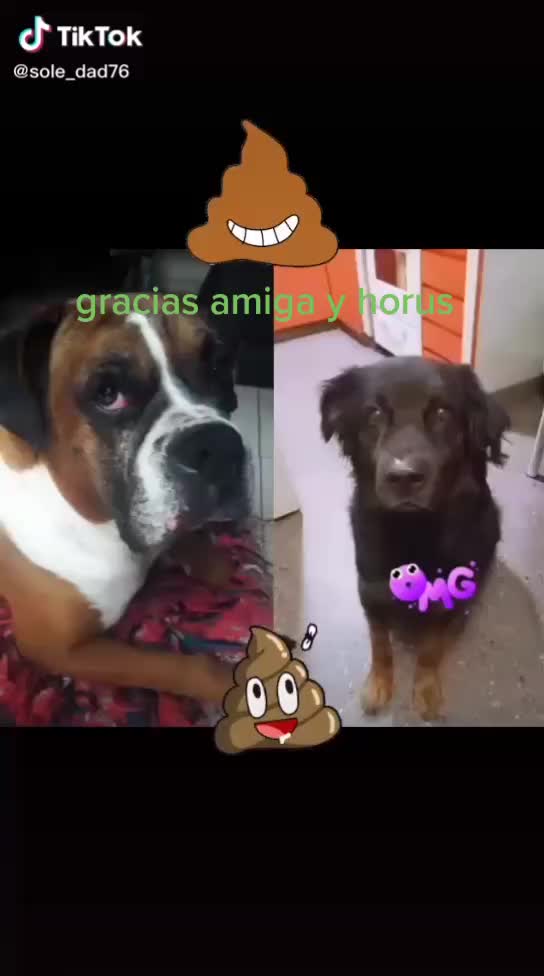 @Fernanda Brea