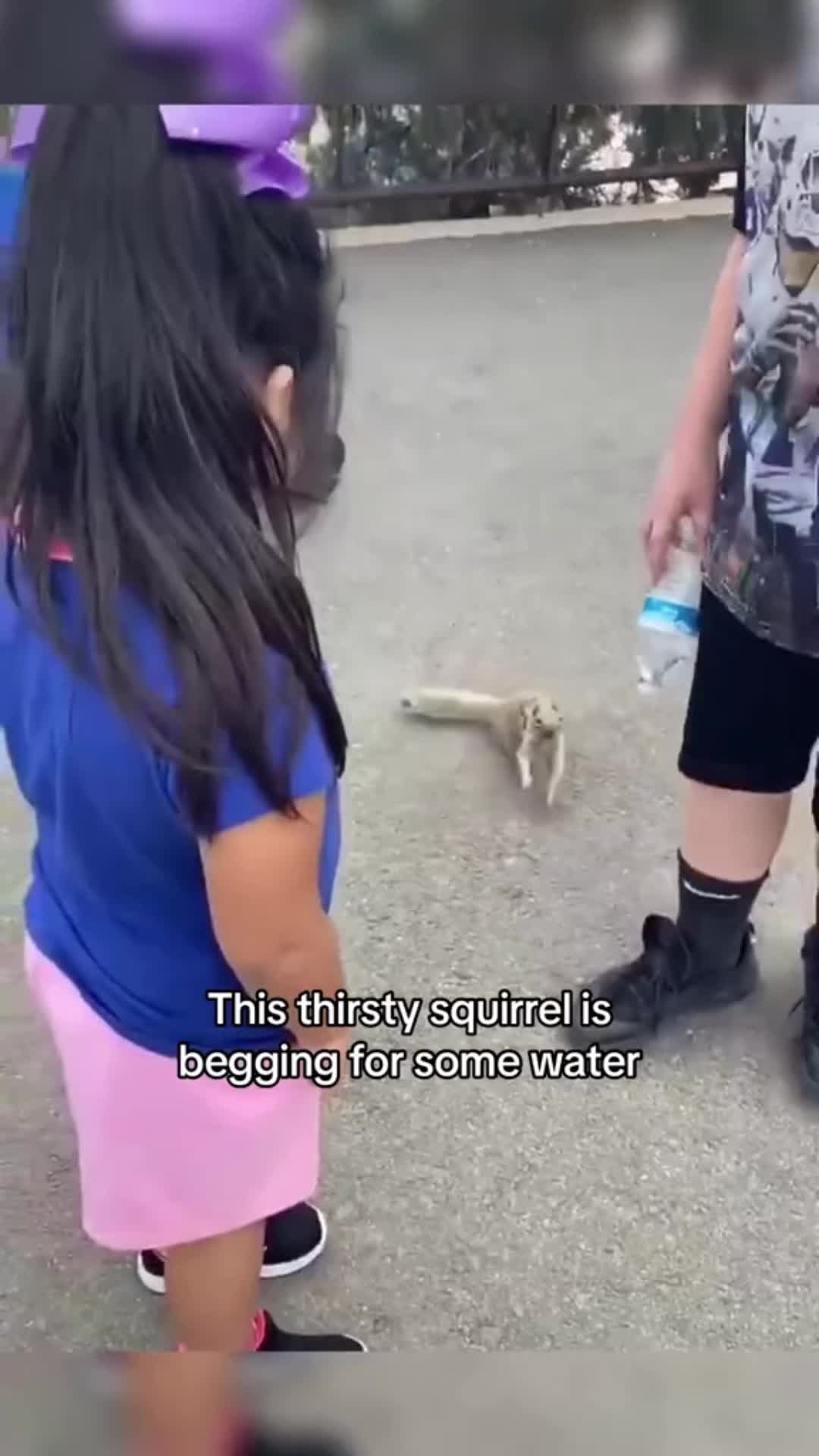 @mediacentral78