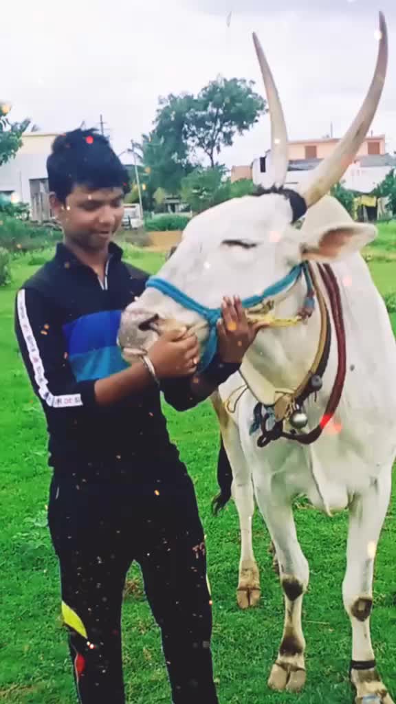 @Ranavikram 167