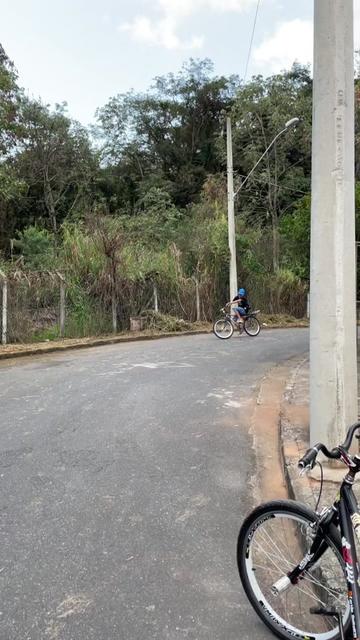 @João Tavares