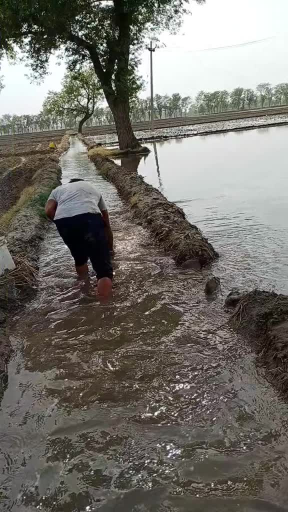 @Himanshumehta786