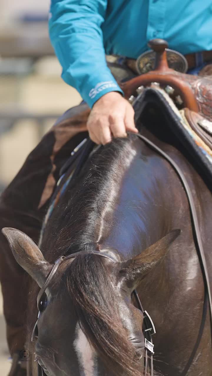 @Larson Performance Horses