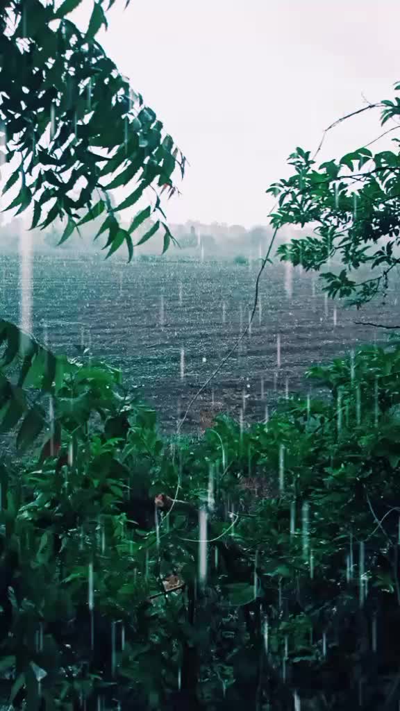 @user778093