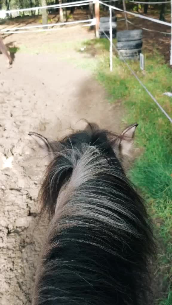 @Końska Grupa🐎