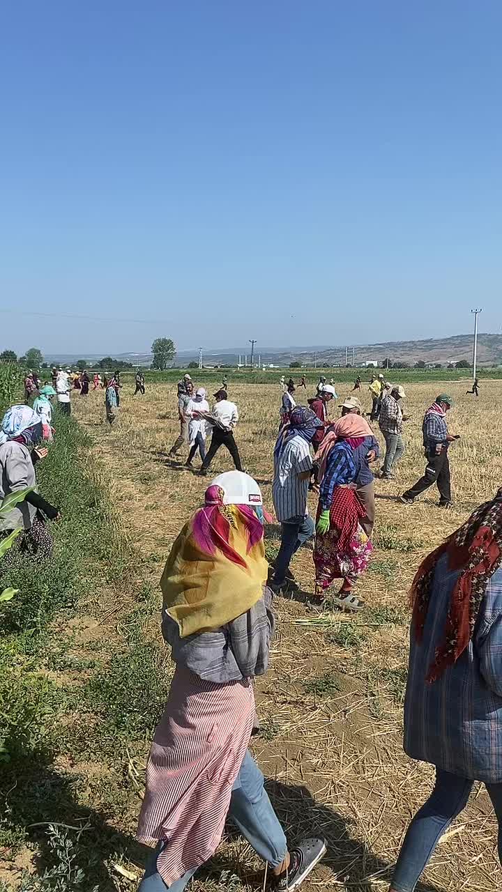 @Eşref_4721