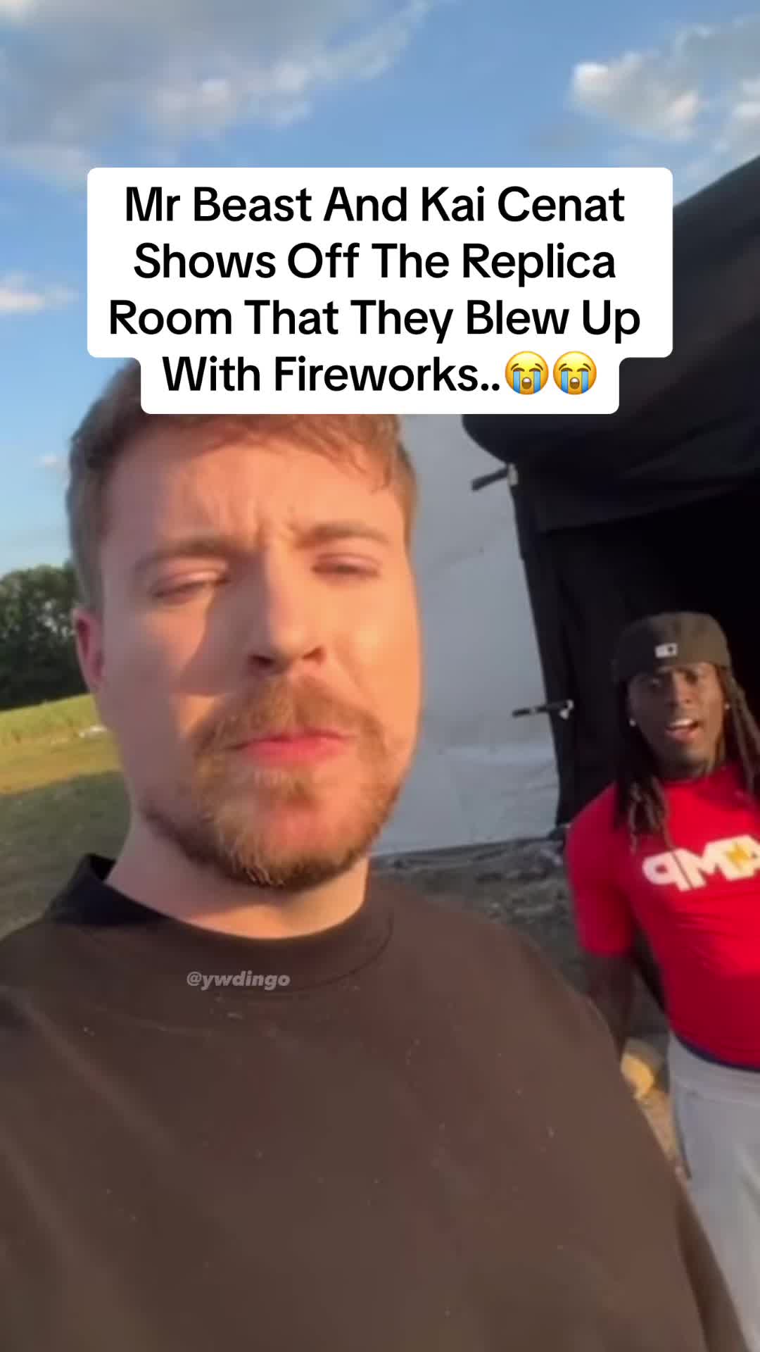 @dingo
