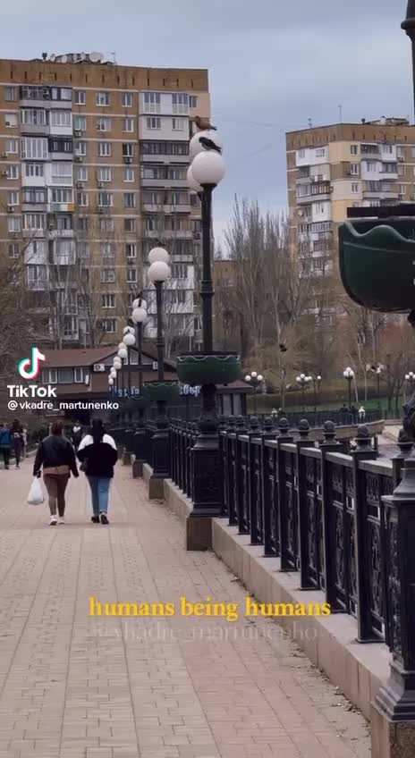 @❤️Анита💙Донецк🖤