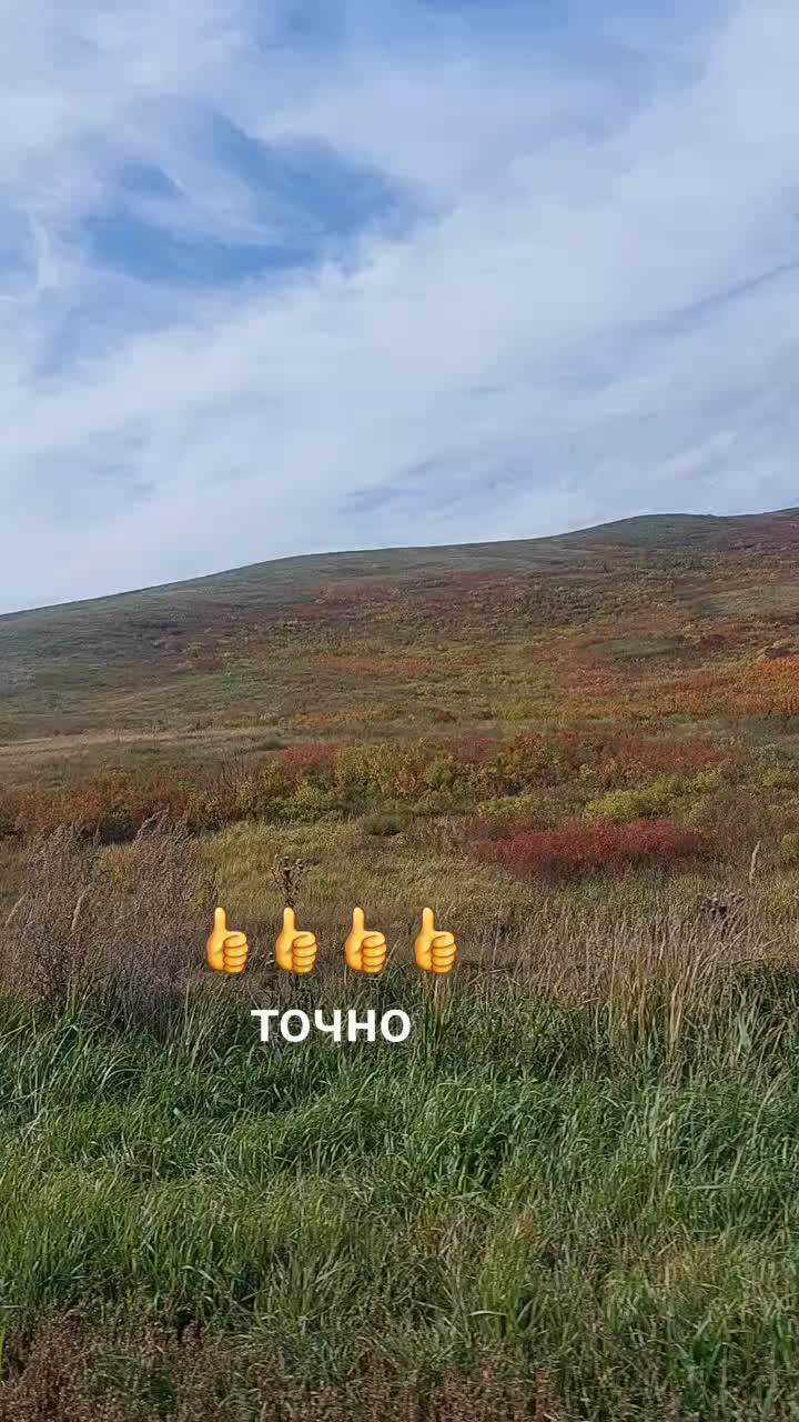 @Dasha.Artem.Ewa
