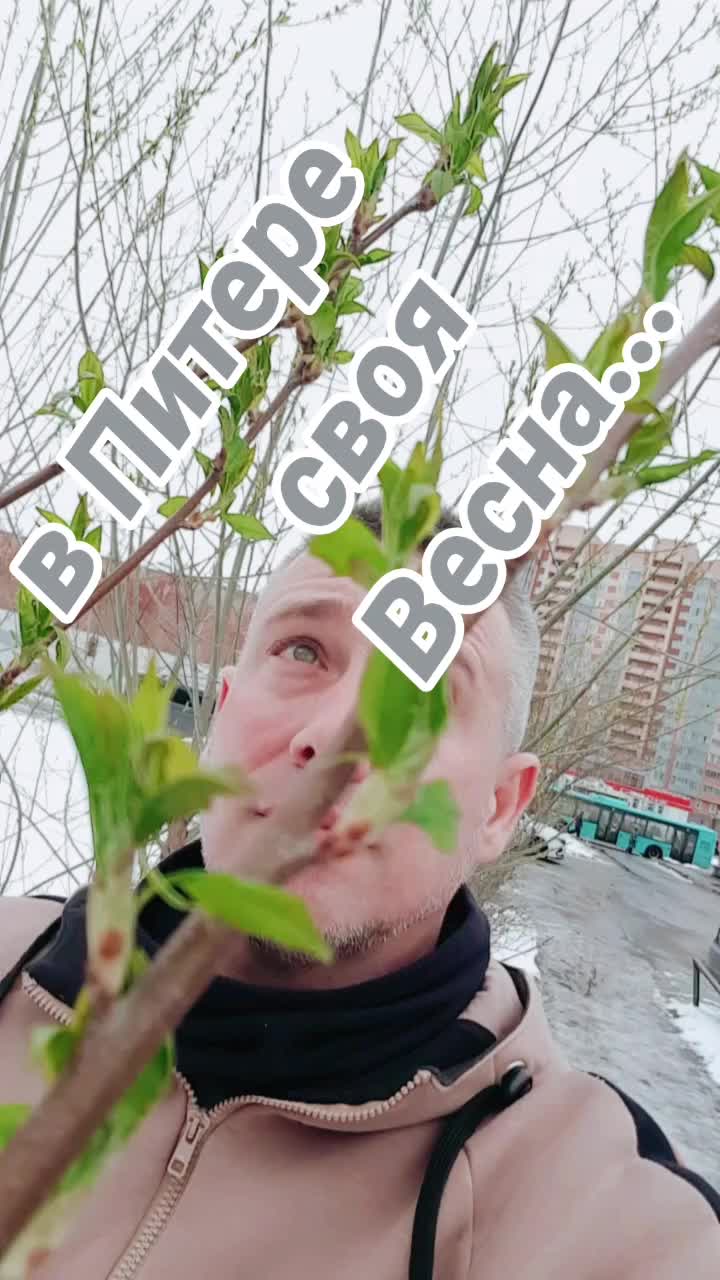 @максимус...