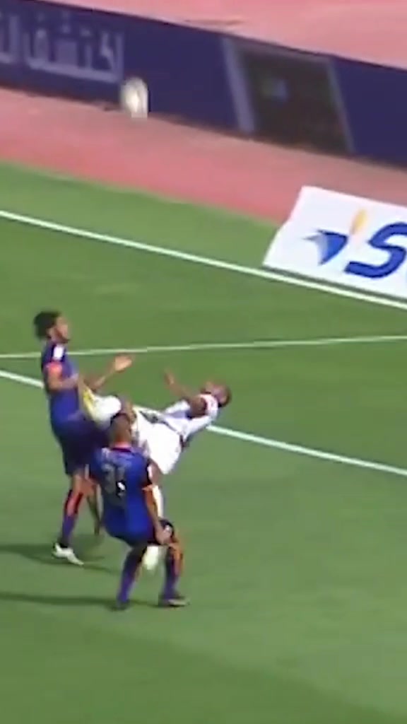 @tribune.ma
