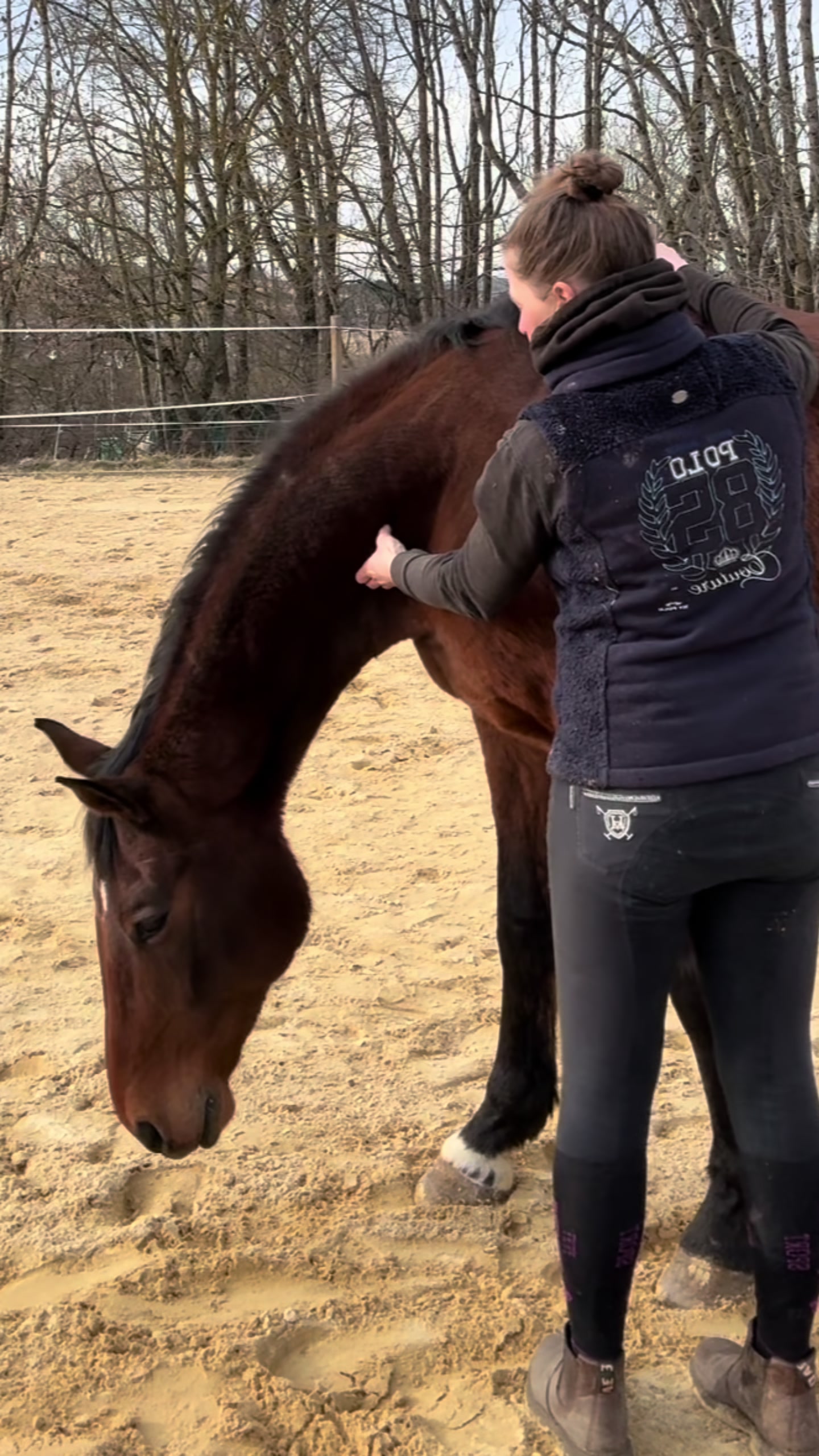 @equine_body_in_balance