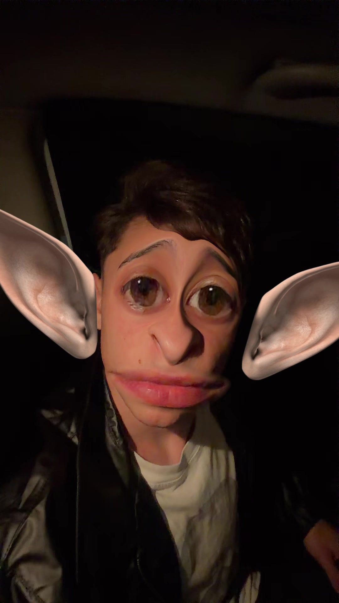 @Kamikaze