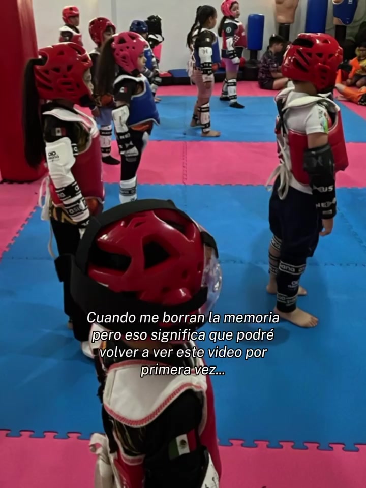 @taekwondolionsteam