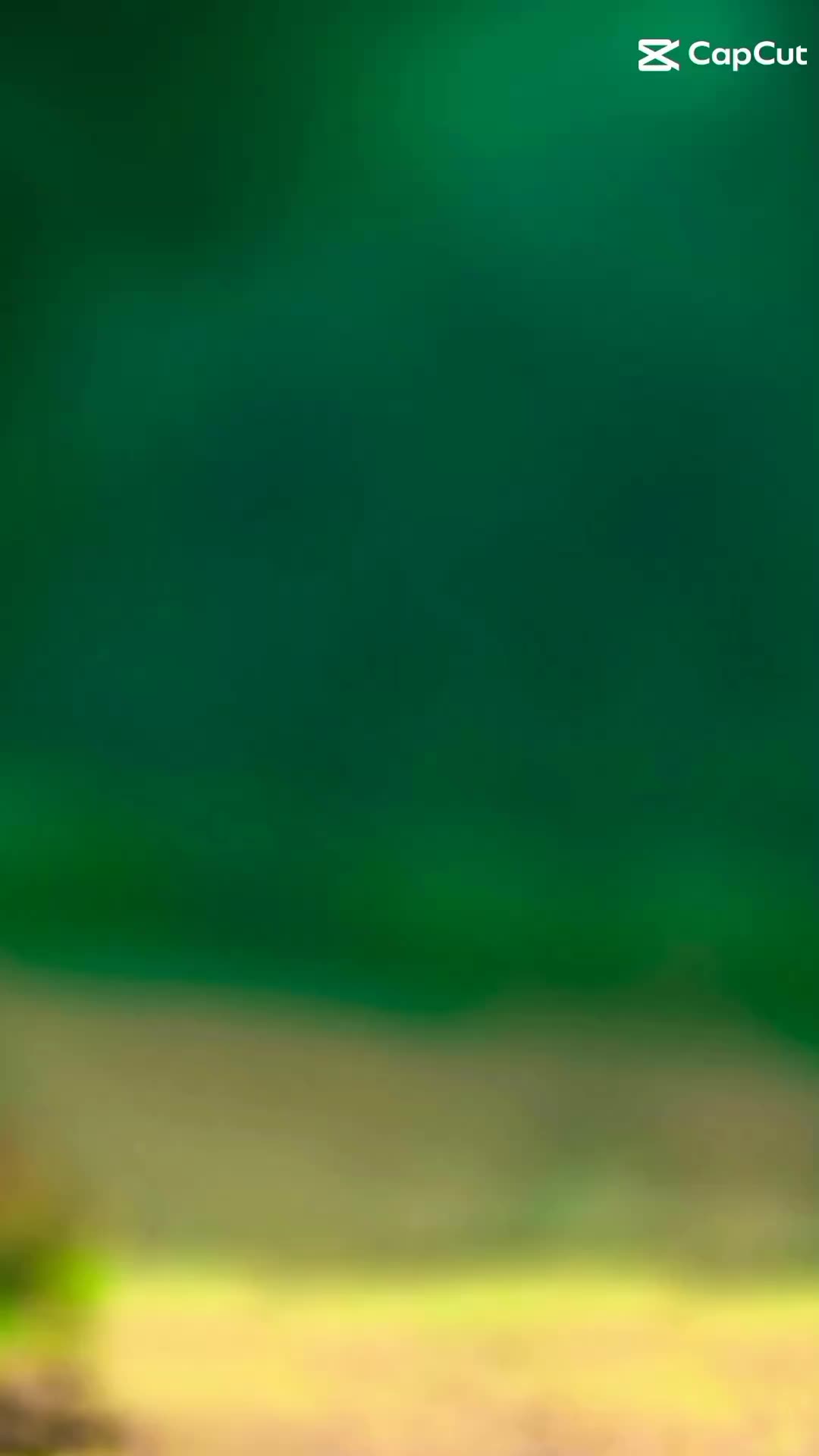 @raghubirlucky1