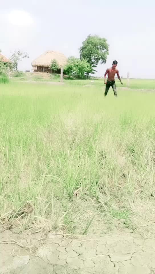 @Amar Kumar dsa