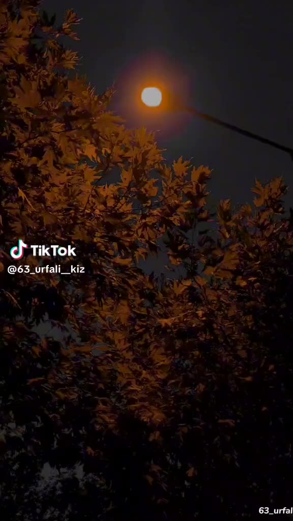 @cennet18h