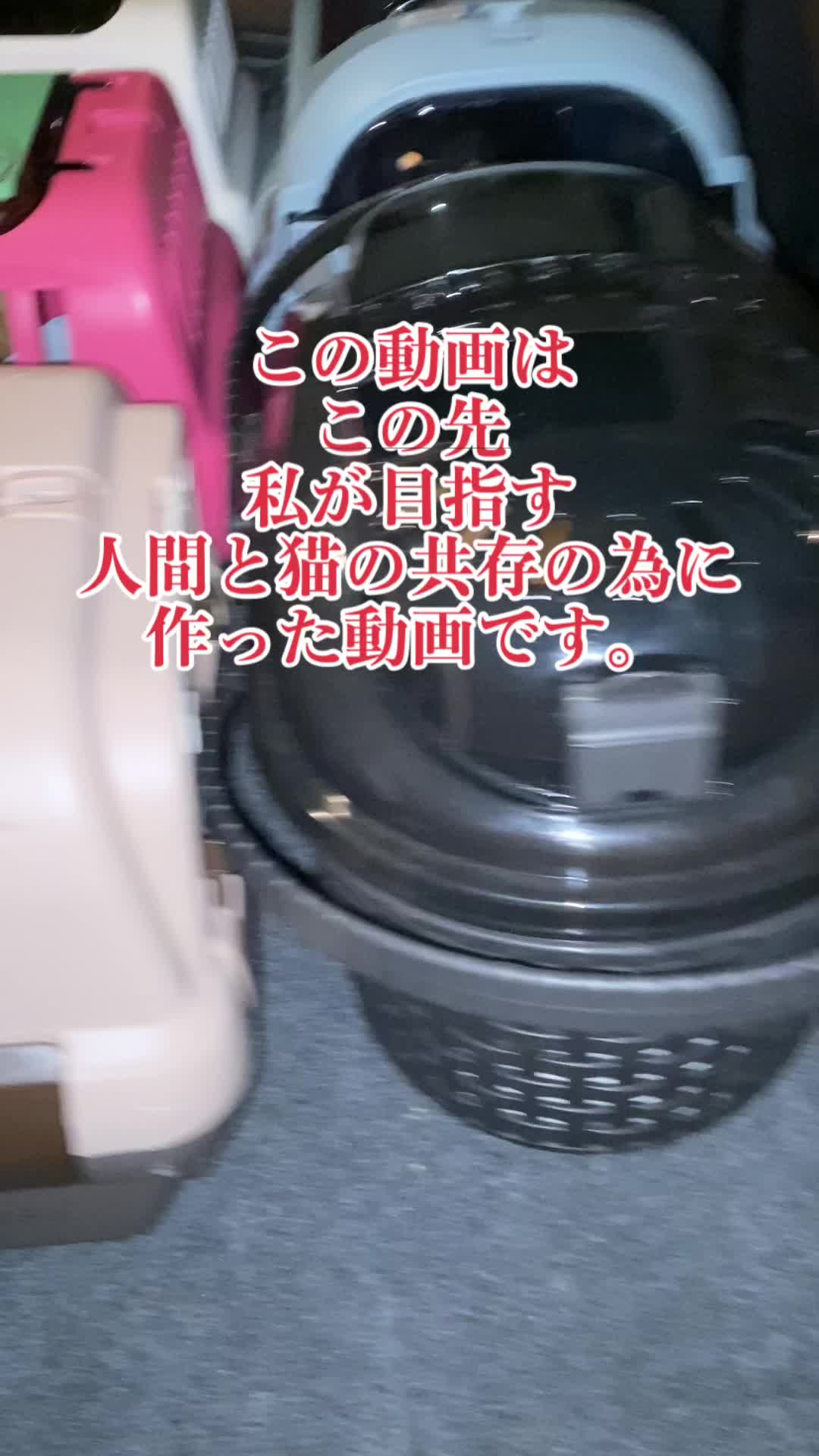 @ブルースカイの倫