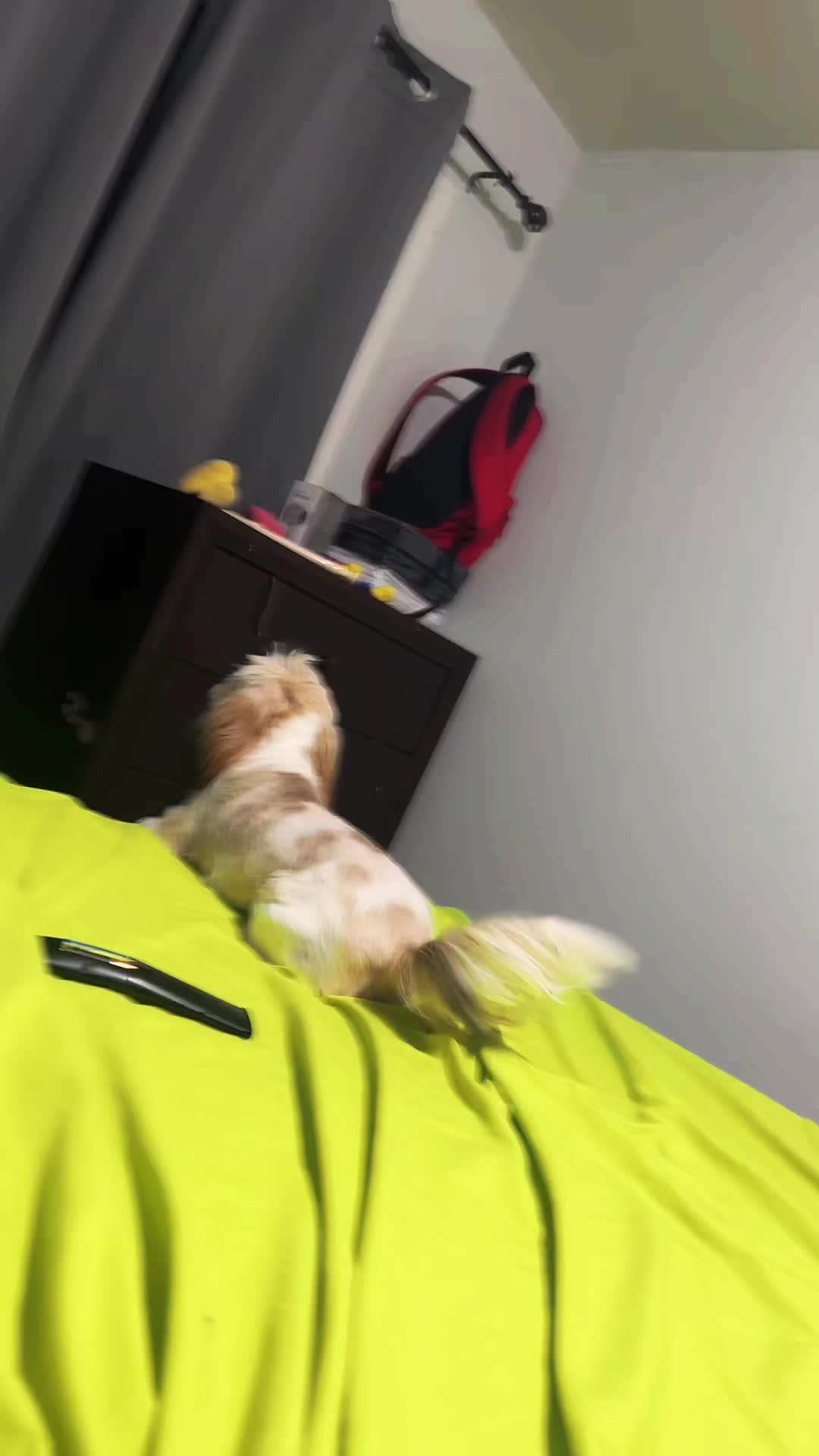 @BLOXYCOLA1906