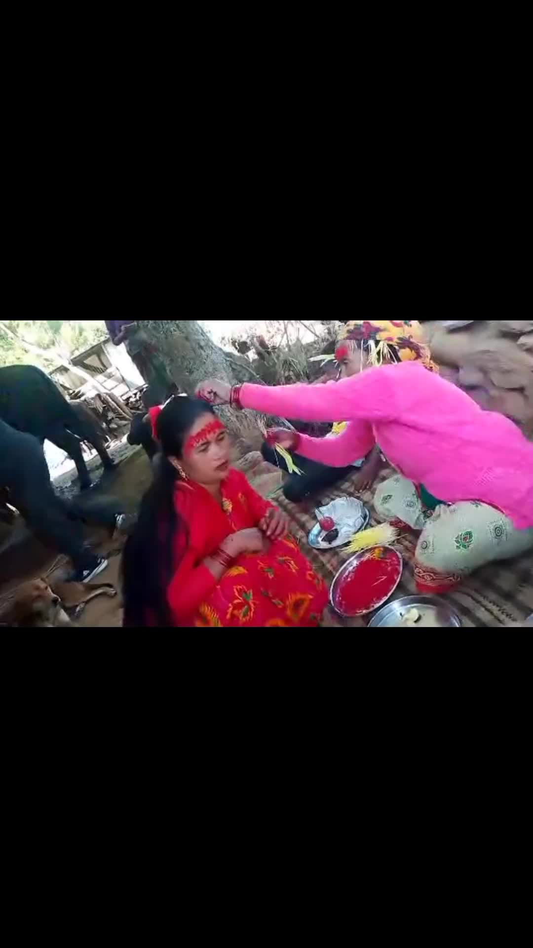 @sharada hamal