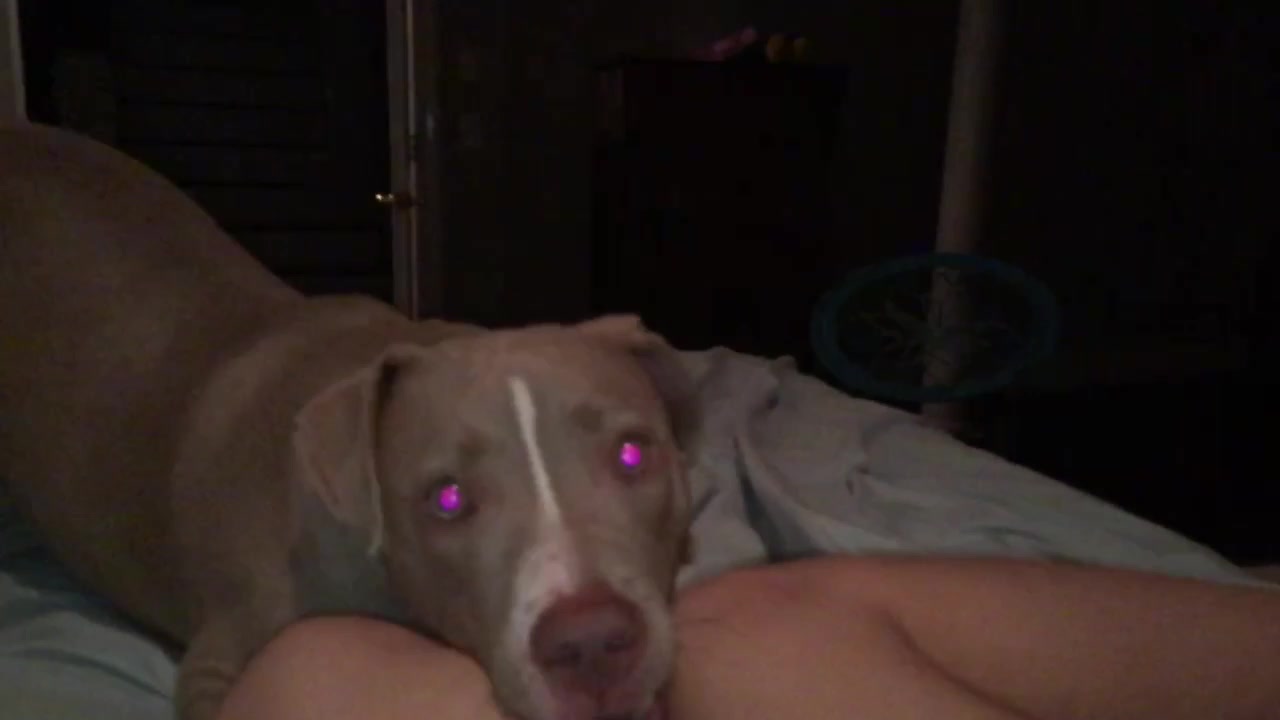 @🥴 Zoey 🥴