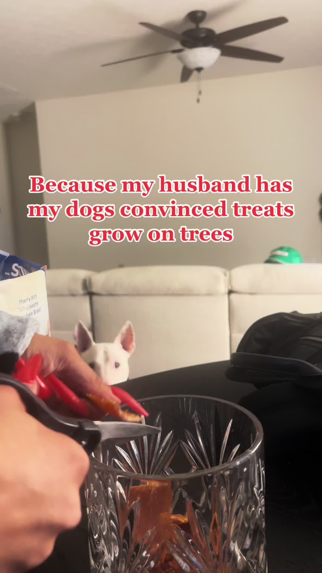 @_bysabs