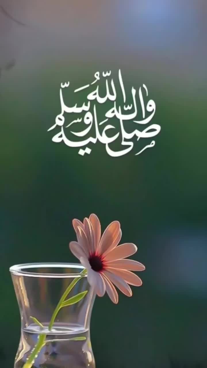 @Zedda❤️