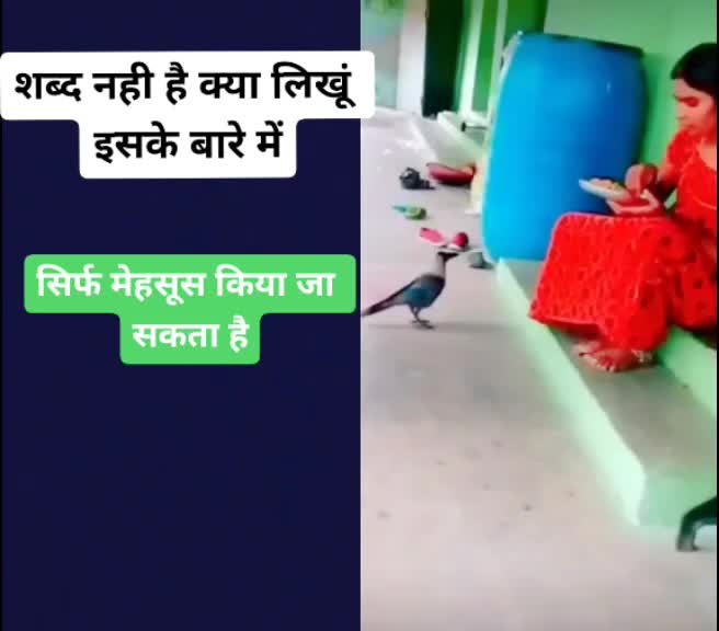 @आदिवासी छोरा