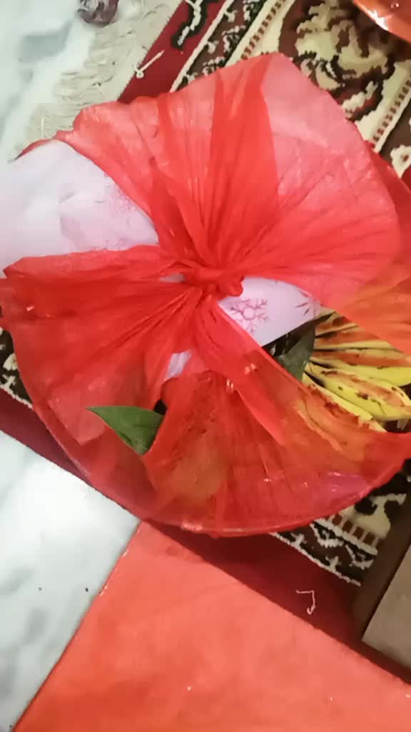 @Ambika Sah395