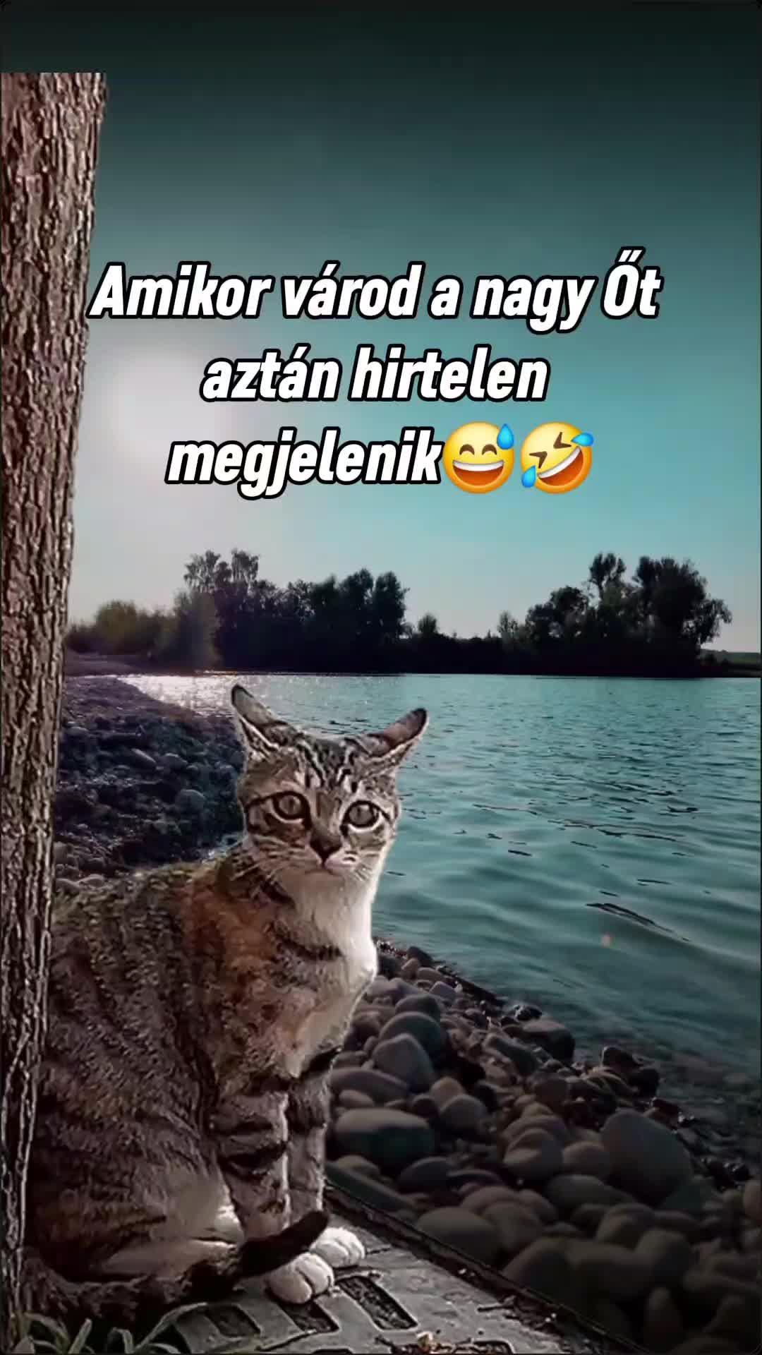 @𝓐𝓰𝓲 𝓕𝓮𝓽𝓱