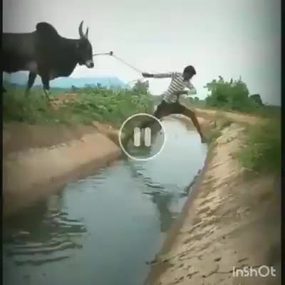 @Naveena.s