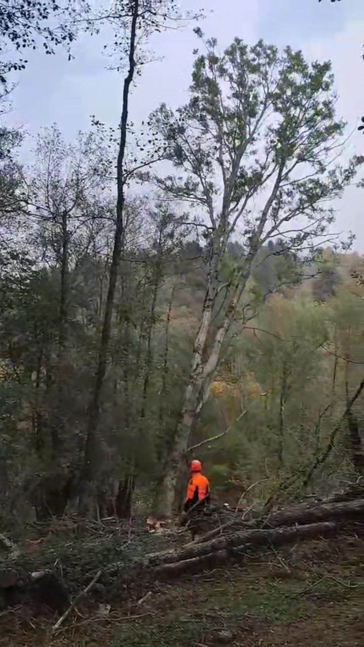 @Jan Petrevčič