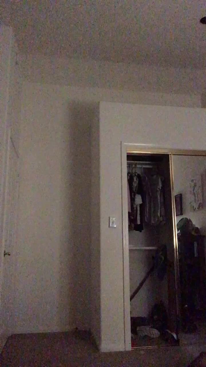 @gay.cat.furry