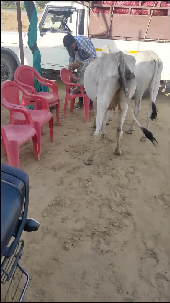 @Vijendra Kumar