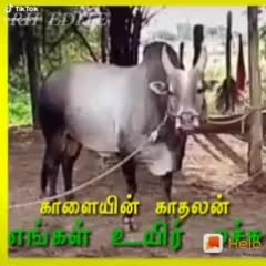 @Jilla Sekaran