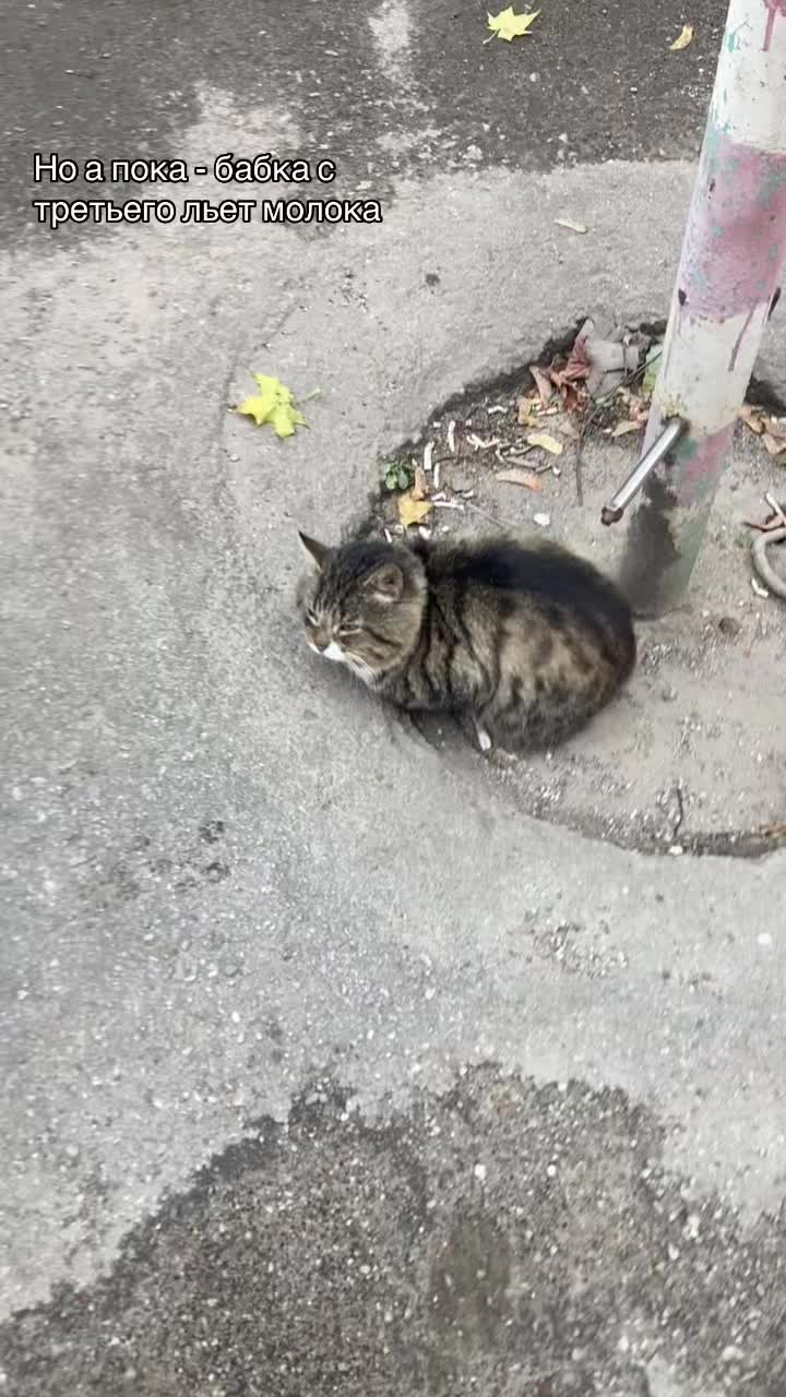 @катюня