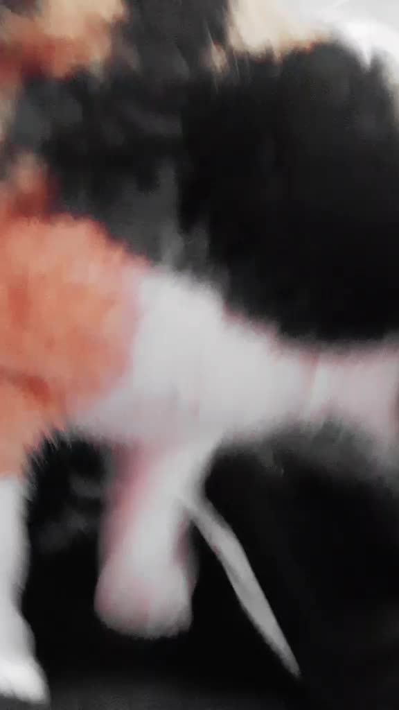 @Gabi☽︎