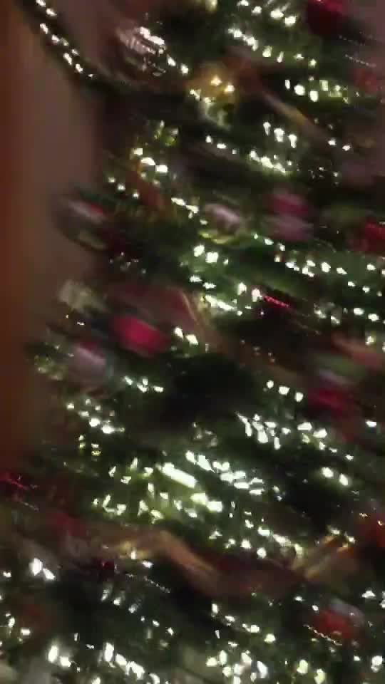 @Liz Katz