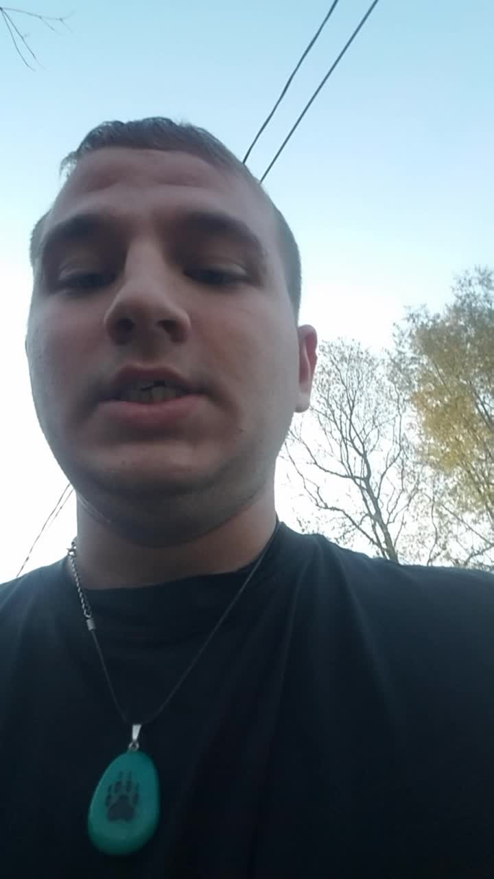@Alphadarkwolf137