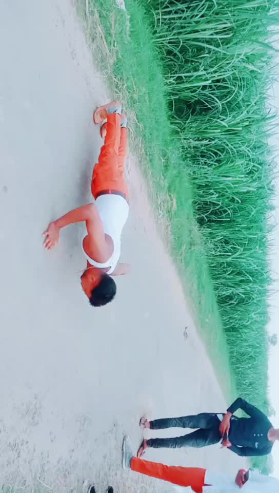 @anil royal chamar