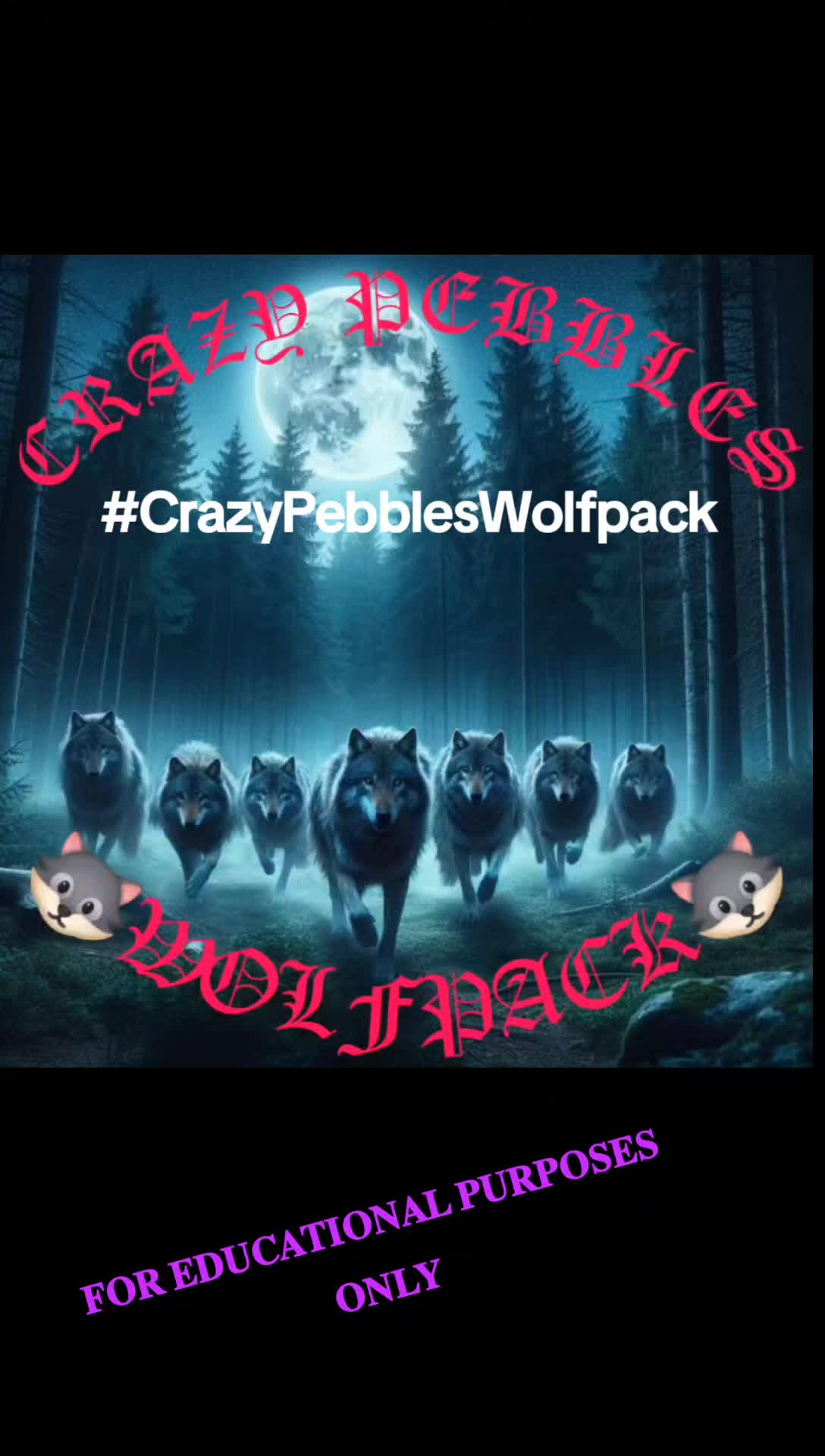 @🐺⍴ᥱᑲᑲᥣᥱs_ᥴһᥲ᥆s_ᥕ᥆ᥣ𝖿⍴ᥲᥴk_69🐺