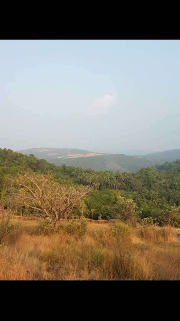 @abhiabhi