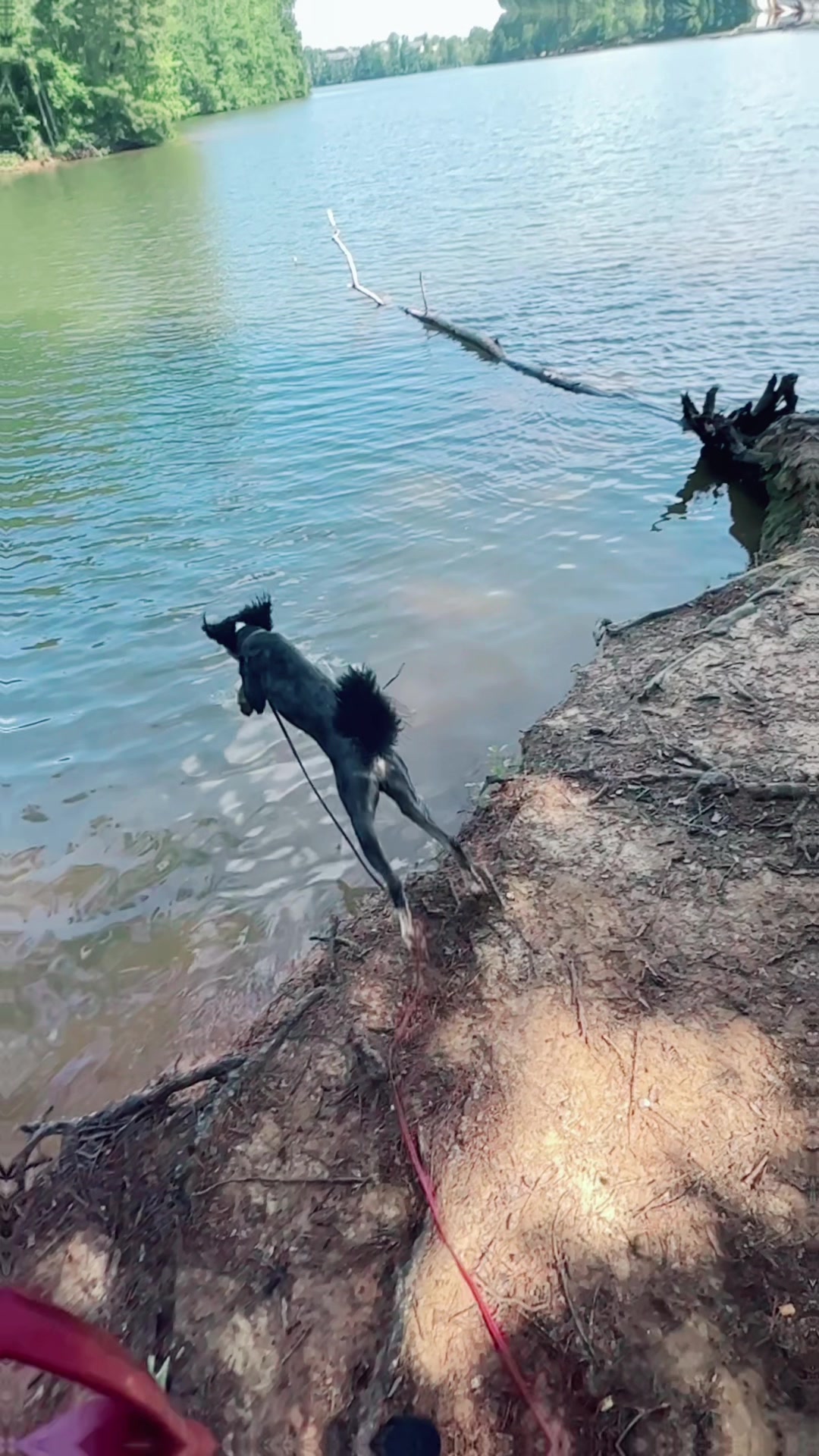 @thewoofpacknc