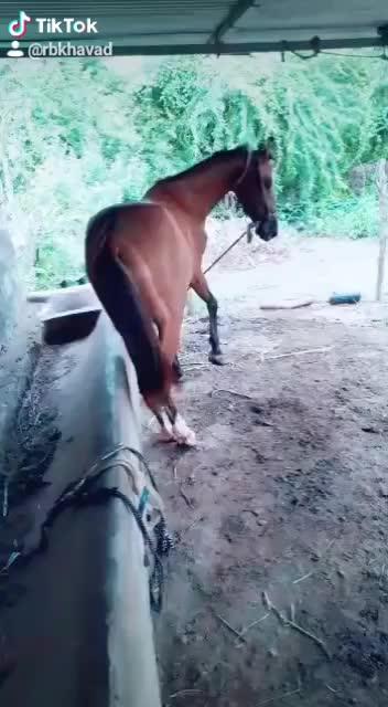 @RutuRaj Khavad
