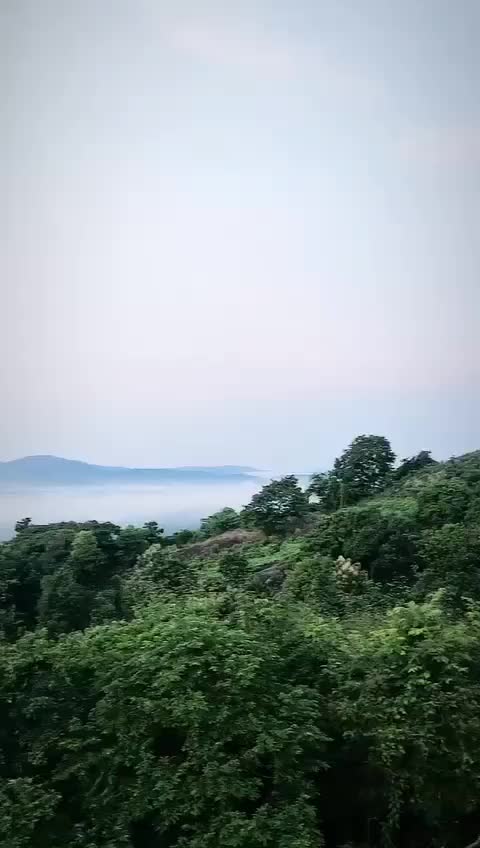 @Madvibes
