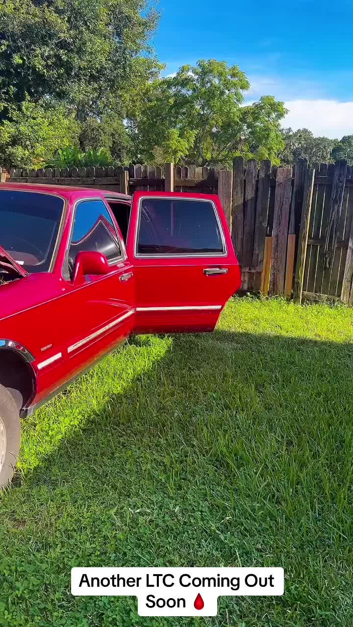 @1995dogmoney
