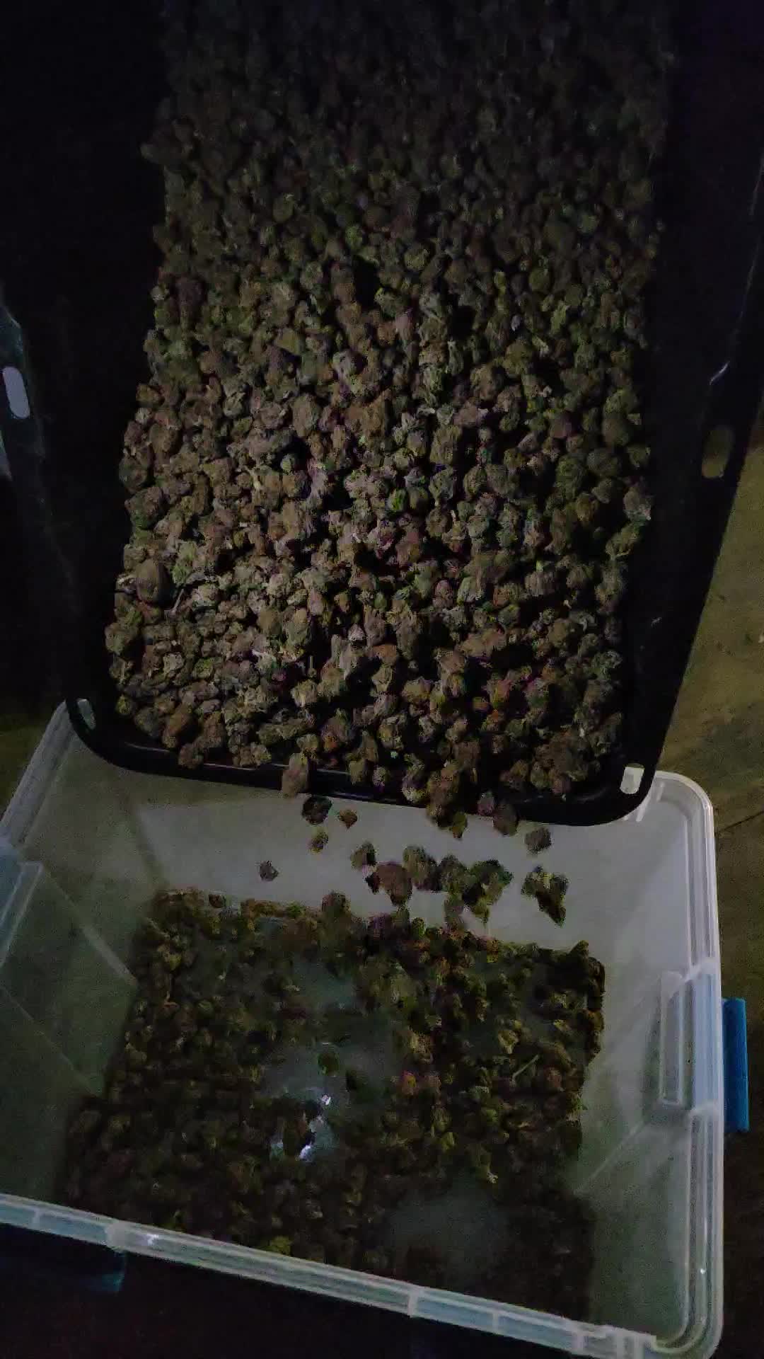 @Tik Toker